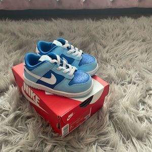 Toddler Argon Nike Dunks